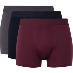Erkek 3'lü Boxer E0023AX24WN