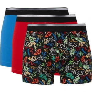 Regular Fit Hayvan Baskılı 3'lü Boxer E0035AX24WN