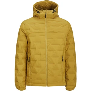 Jcosonıc Stand Collar Jacket Golden