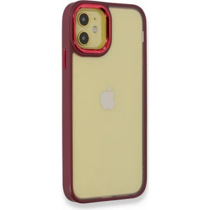 Apple iPhone 12 Kılıf Kenarı Silikon Arkası Darbelere Karşı Sert Pc Dora Kapak