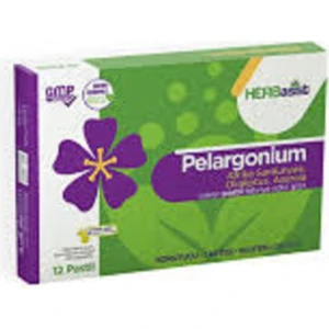 Pelargonium 12 Pastil