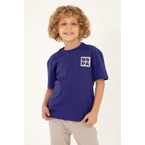 U.S. Polo Assn. Erkek Çocuk Mor Tişört Basic 50295447-VR038