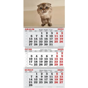 GENC DIJITAL BASKI 2025 Yılı Gemici Takvimi-Scottish Fold Yavru Kedi