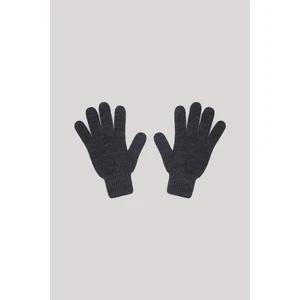 Erkek Çocuk Gri Eldiven