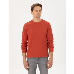 Pierre Cardin Erkek Kahverengi Regular Fit Sweatshirt 50296485-VR040
