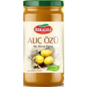 Şekersiz Alıç Meyve Özü 500 gr