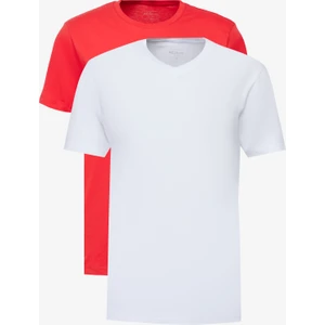 Altınyıldız Classics 2'li Paket Slim Fit Dar Kesim Pamuklu Basic Tişört