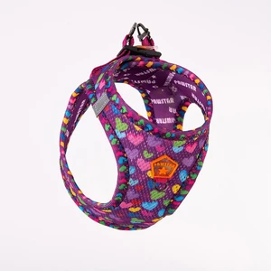 Hearts Air-Mesh Göğüs Tasması Kedi Köpek Göğüs Tasması