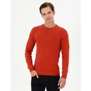 U.S. Polo Assn. Erkek Kiremit Kazak /Triko 50292863-VR031