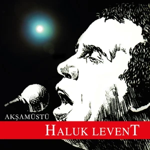 Haluk Levent - Akşamüstü (Plak)