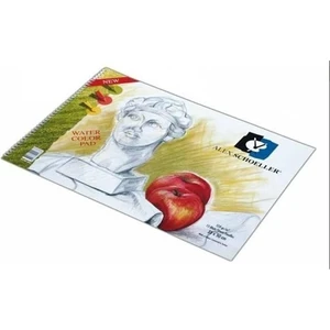 Alex Schoeller Resim Defteri Spiralli 25 X 35 120 Gr 15 Yaprak