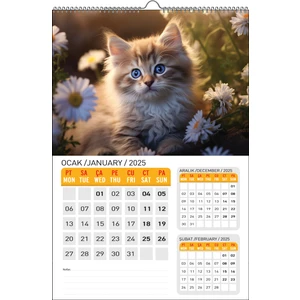 Naturel Basım 2025 Kedi Duvar Takvimi