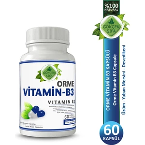 Orme Vitamin B3 Kapsül (VİTAMİN B3 CAPSULE)