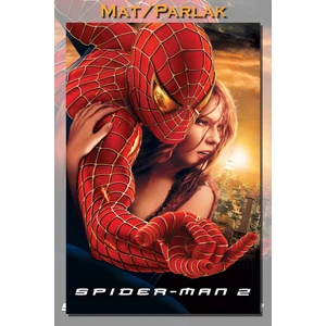 Tobey Spider Man Örümcek Adam 2 Film Posteri Baskı
