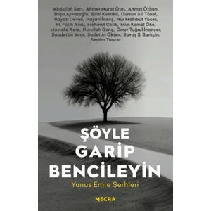 Şöyle Garip Bencileyin Yunus Emre Şerhleri - Serdar Tuncer