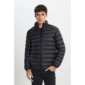 Regular Fit Normal Kesim Dik Yaka Fermuarlı Gri Bej Şişme Mont
