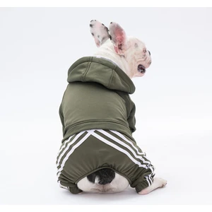 PawStar Haki Tuta Tulum Küçük ve Orta Irk