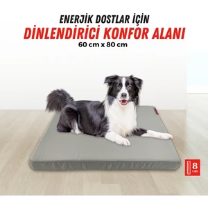 XPERMATE Patiminder Köpek Yatağı Büyük Irk Köpek Yatağı Büyük Köpek Yatakları  60X80cm