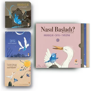 Nasıl Başladı? Her Şey Seninle Başladı 3 (3 Kitap Takım) - Ayşe Aydemir