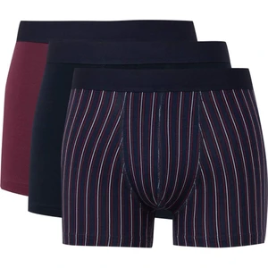 Erkek Çizgili 3'lü Boxer E0028AX24WN