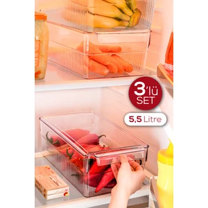 3lü 5,5 Litre Kapaklı Midi Buzdolabı Dolapiçi Düzenleyici Organizer