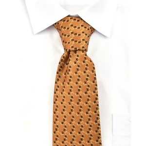 Pierre Cardin Pcf-01 Kravat/sarı