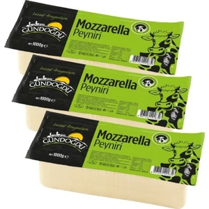 Mozzarella Peyniri Blok 1 kg 3'lü