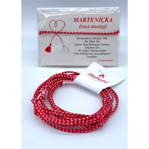 Concept Hubutu 10’lu Kartlı Jelatinli Minimal Yılbaşı Hediyelik Marteniçka Dilek Şans Bilekliği