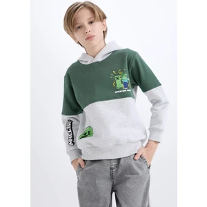 Erkek Çocuk Minecraft Kapüşonlu Sweatshirt D6746A824WN