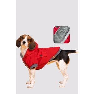 Salya Store Intense Red Design Köpek Montu KK - 117