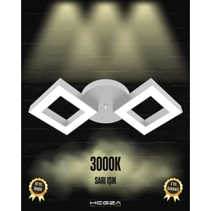 Hegza Lighting Alato (Gri Kasa, Sarı Işık) Ledli Modern Plafonyer LED Avize Salon Mutfak Oturma Odası Yatak Odası Antre Hol LED