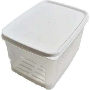 Moonstar Süzgeçli Peynir Saklama Kabı 2 Litre Bpa FREE-MS06