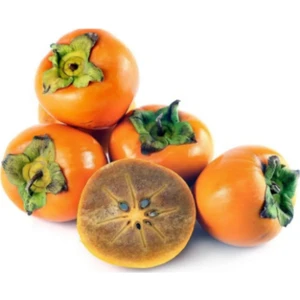 Hatay Taze Çikolata Cennet Hurması 2250 G