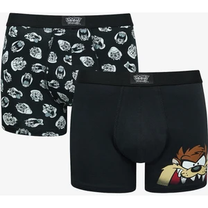 Tasmanian 2li Çok Renkli Boxer
