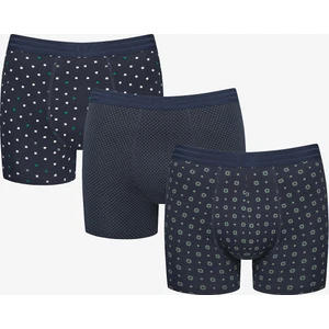 Pointes 3lü Çok Renkli Boxer