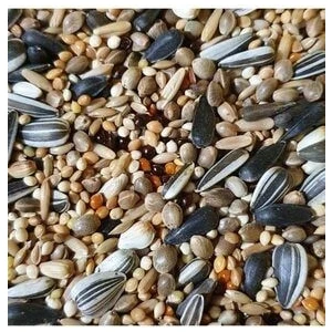 Sultan Papağanı Cennet Papağanı Yemi 5 kg