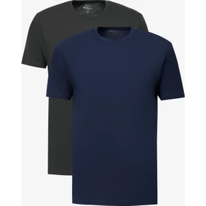 Altınyıldız Classics 2'Li Paket Slim Fit Dar Kesim Pamuklu Basic Tişört
