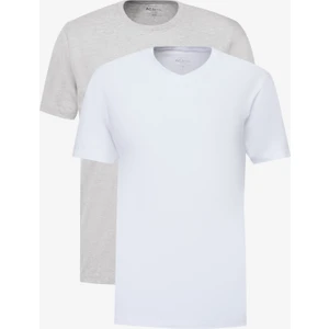 Altınyıldız Classics 2'li Paket Slim Fit Dar Kesim Pamuklu Basic Tişört
