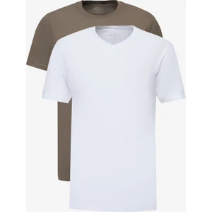 Altınyıldız Classics 2'li Paket Slim Fit Dar Kesim Pamuklu Basic Tişört