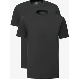 Altınyıldız Classics 2'li Paket Slim Fit Dar Kesim Pamuklu Basic Tişört