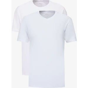 Altınyıldız Classics 2'li Paket Slim Fit Dar Kesim Pamuklu Basic Tişört