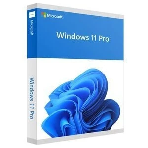 Windows 11 Pro Dijital Lisans Keyi