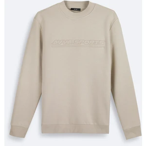 Erkek Taş Bisiklet Yaka 3 Iplik Şardonlu Baskılı Sweatshirt A42y1306