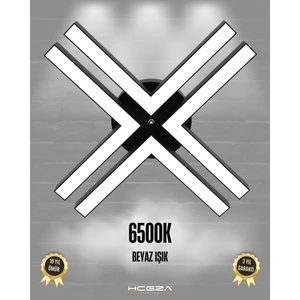 Hegza Lighting Timon (Siyah Kasa, Beyaz Işık) Ledli Modern Plafonyer LED Avize Salon Mutfak Oturma Odası Antre Hol Çocuk Odası LED
