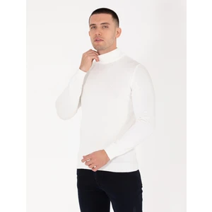 Pierre Cardin Erkek Ekru Slim Fit Yarım Balıkçı Yaka Basic Triko Kazak 50276161-VR019
