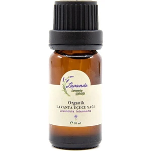 Lavande Lavanta Yağı (L. Intermedia) 10ML-İÇTEN Damlalıklı
