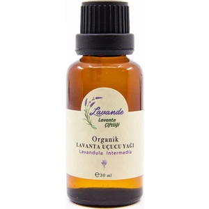 Lavande Lavanta Yağı (L. Intermedia) 30ML-İÇTEN Damlalıklı