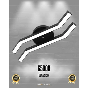 Hegza Lighting Pesca (Siyah Kasa, Beyaz Işık) Ledli Modern Plafonyer LED Avize Salon Mutfak Oturma Odası Antre Hol Çocuk Odası LED