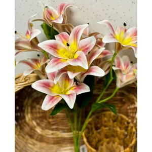 Osohome Islak Lilyum Pembe-Sarı Renk 11 Çiçekli 55CM 5 Dal Gerçeksi Doku