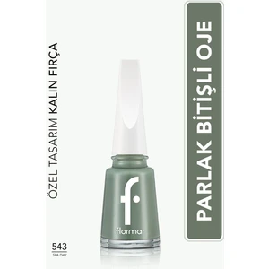 Nail Enamel Yüksek Pigmentli & Parlak Bitişli Oje